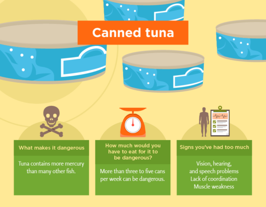 Can I Eat 3 Cans of Tuna a Week
