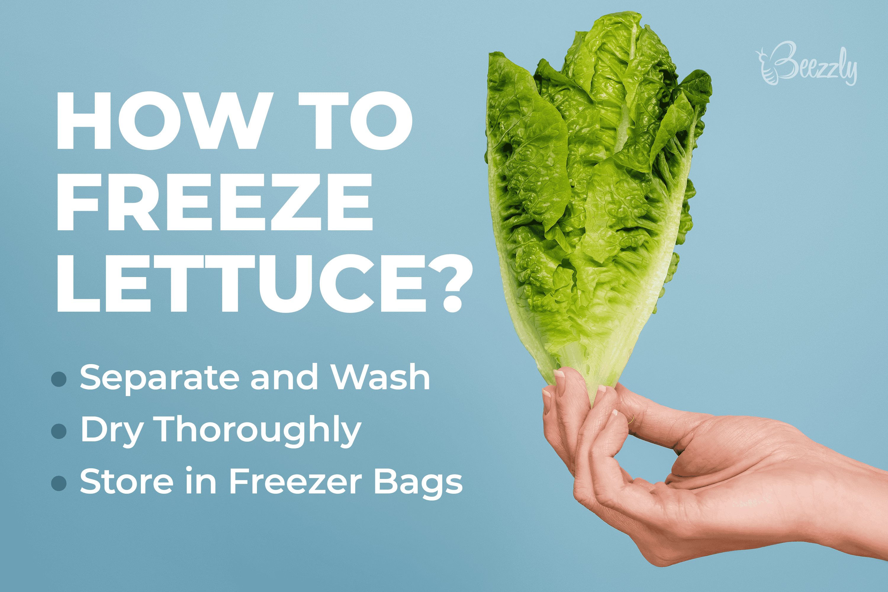 Can You Freeze a Lettuce