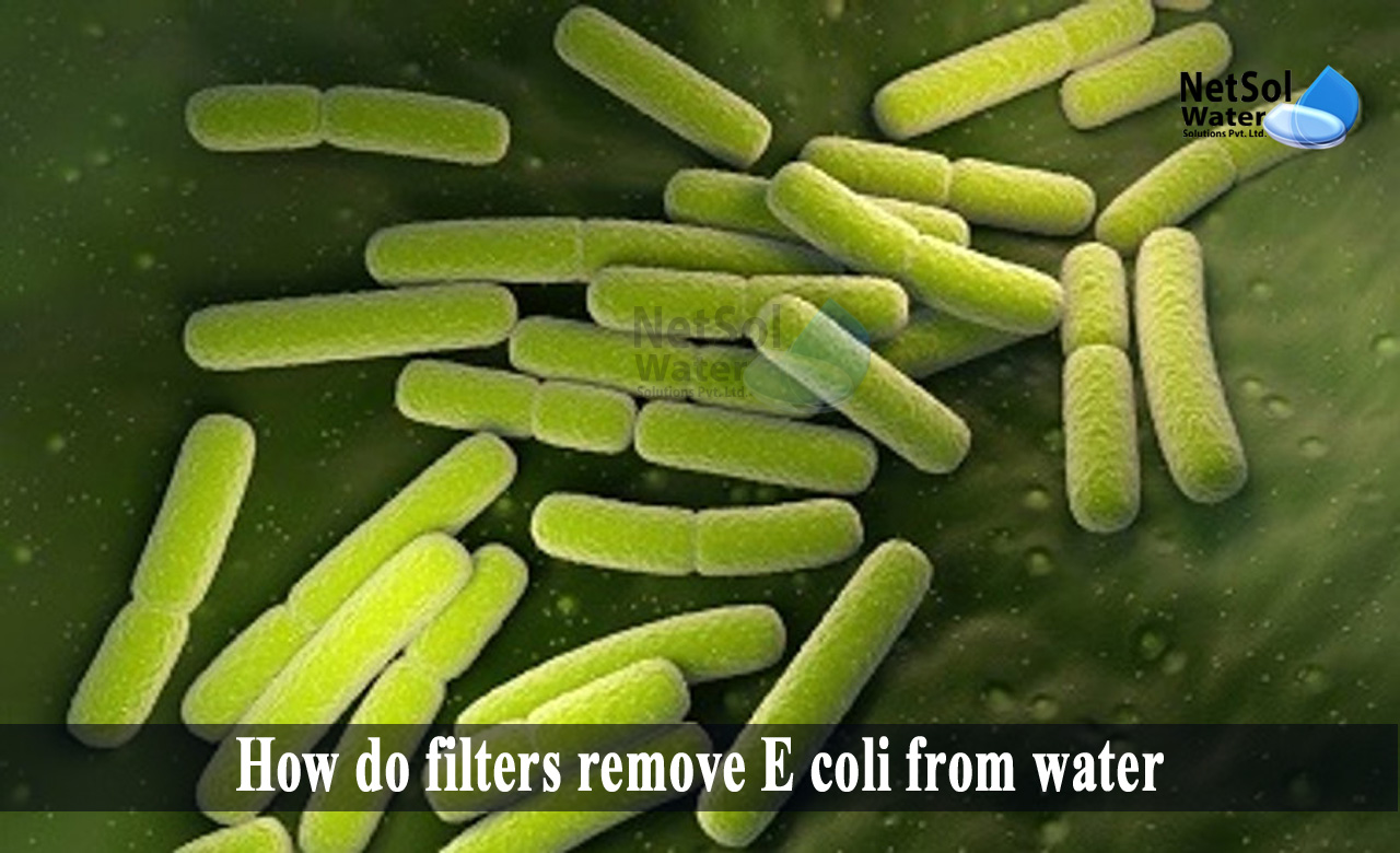 How to Remove E Coli from Water