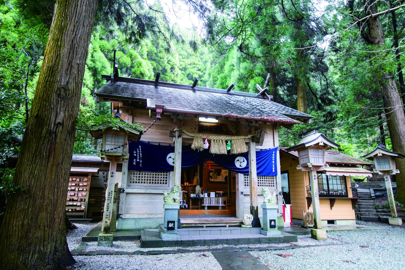 荒立神社に芸能人が通う理由とは？ご利益や板木の叩き方を徹底解説