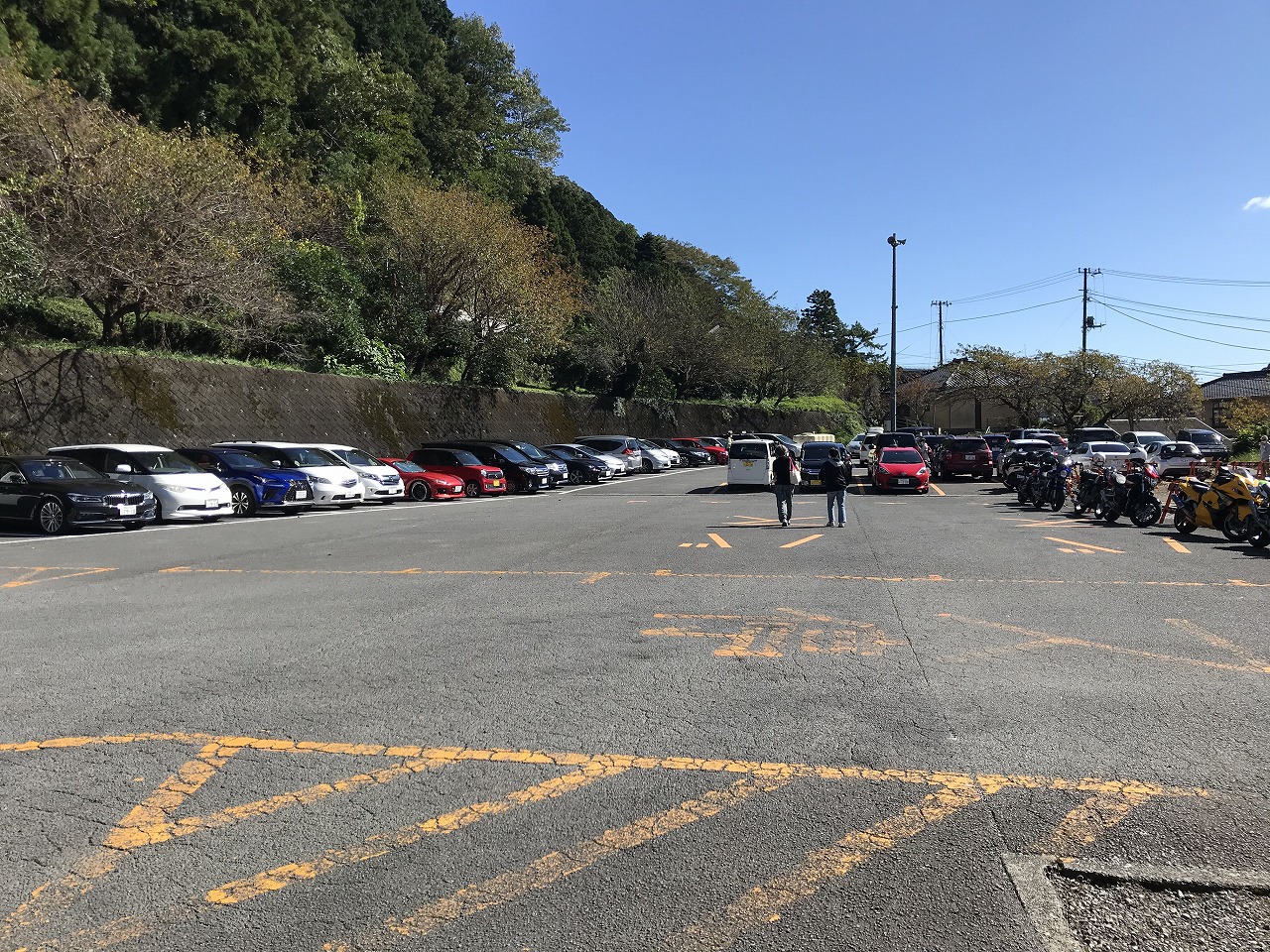 河津七滝の駐車場選びで大損？無料駐車場の罠と2026年最新攻略法