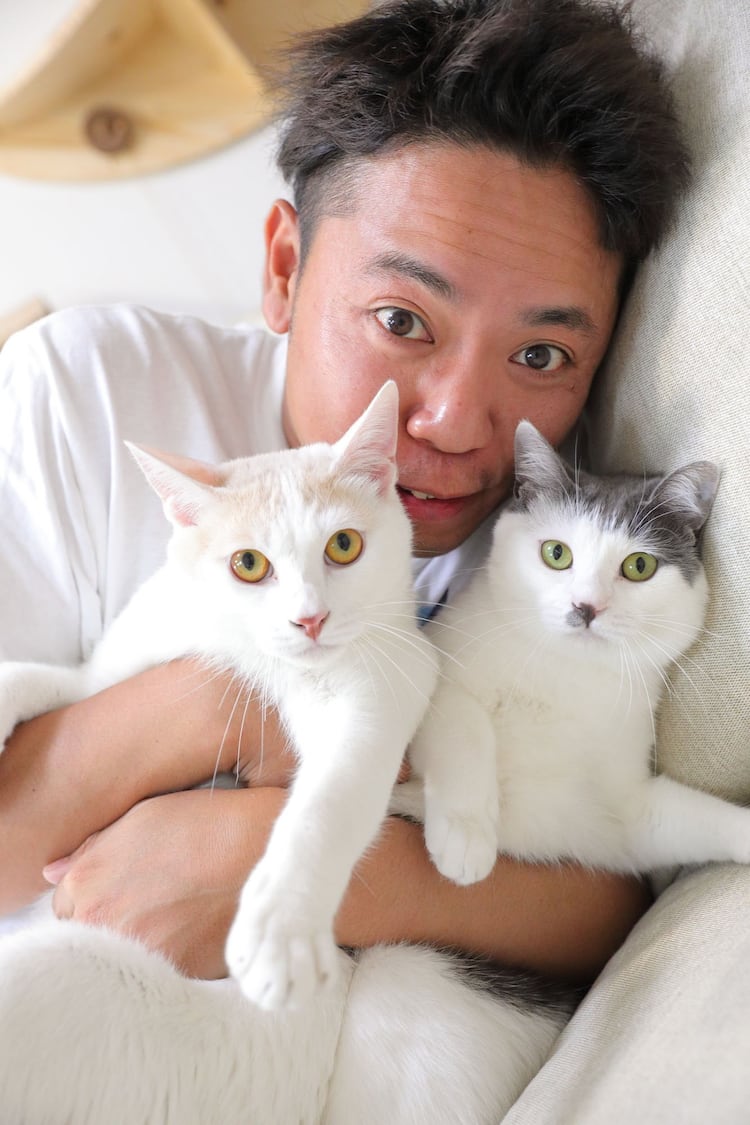 サンシャイン池崎と猫の絆｜風神雷神の現在と歴代預かり猫の真実