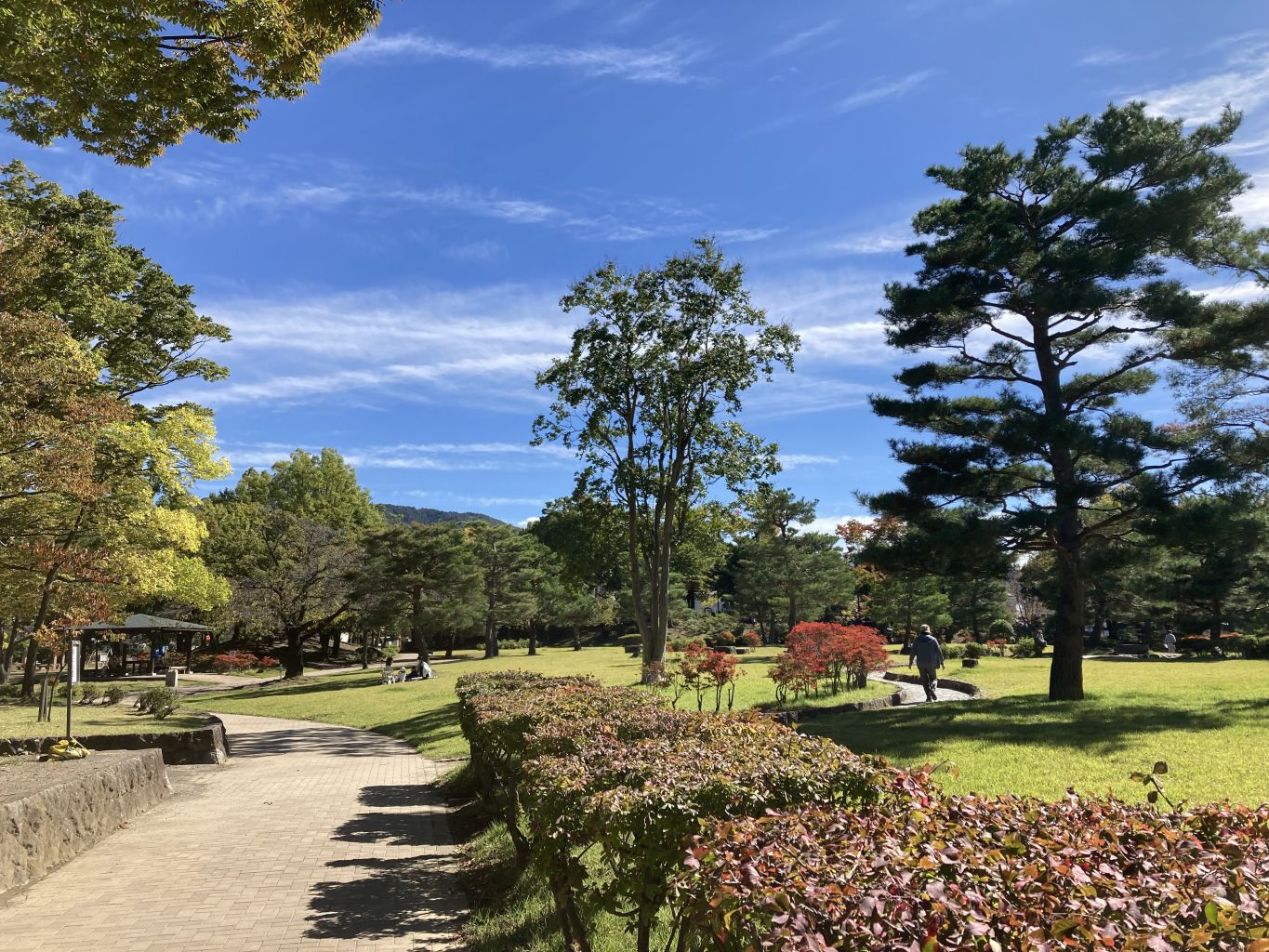 【2026年最新取材】松本「あ が た の 森 公園」の静寂に癒やされる。巨木と大正ロマンの木造校舎が織りなす極上の日常脱出ガイド