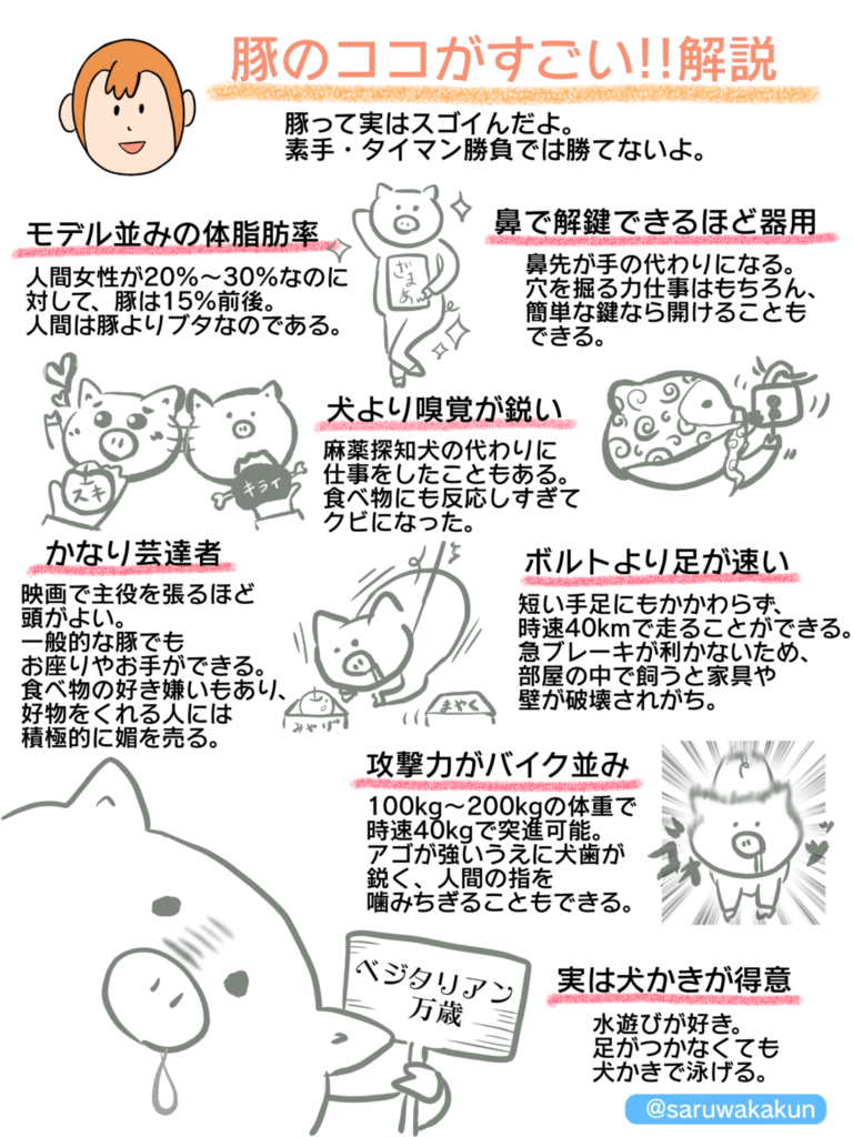豚の体脂肪率は15％？人間比較で判明した驚きの筋肉量と真相