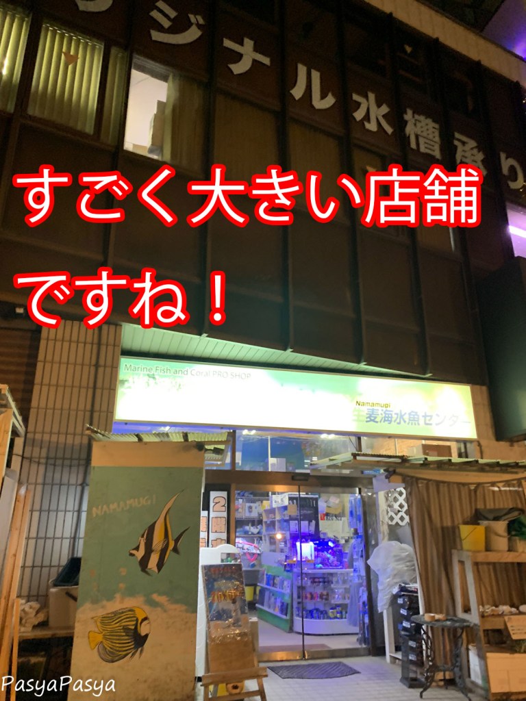 生麦海水魚センターの評判は本当か？聖地の実態と通販・価格を徹底検証