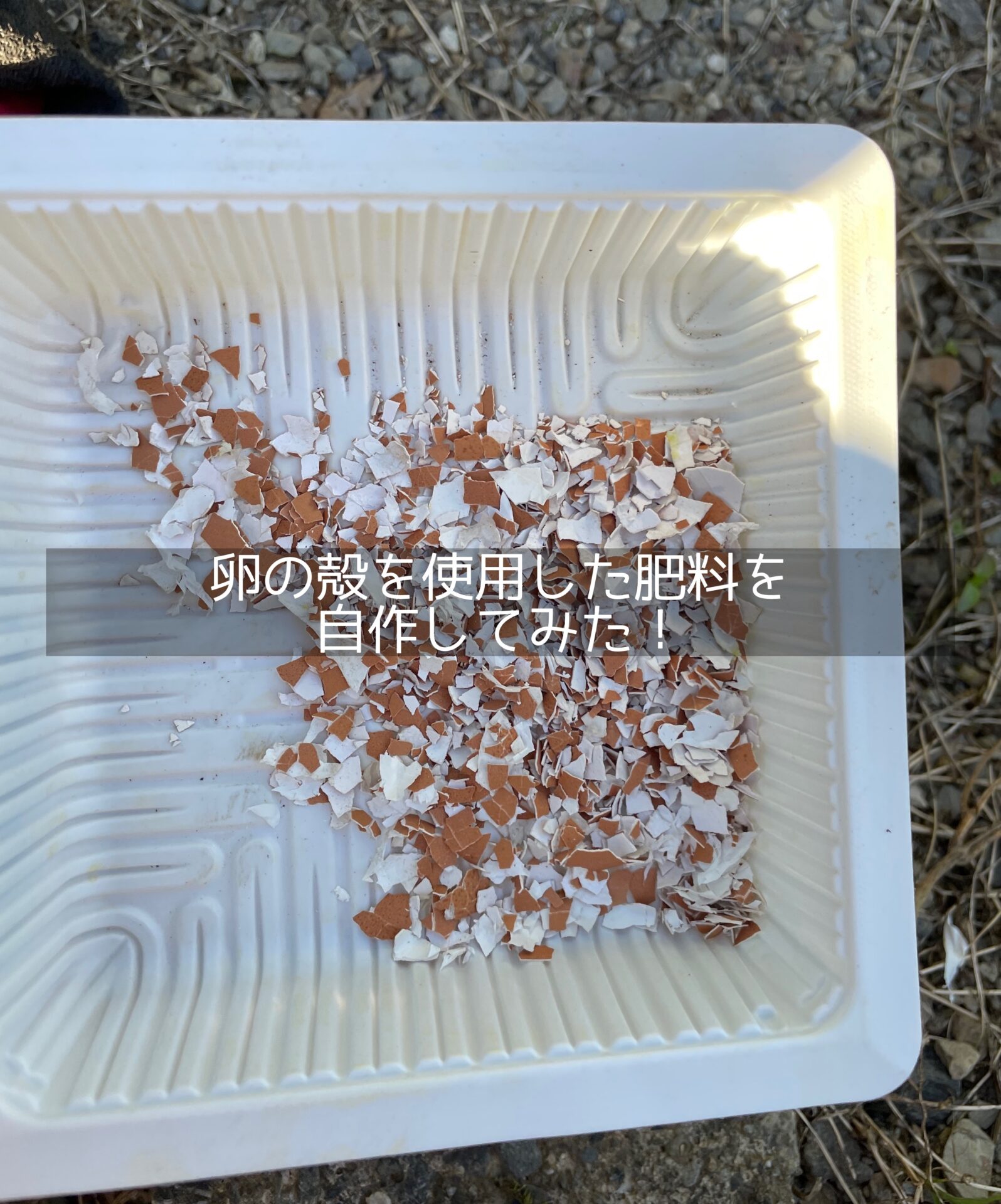卵の殻肥料の作り方｜そのまま土は逆効果？レンジとお酢の劇的活用術