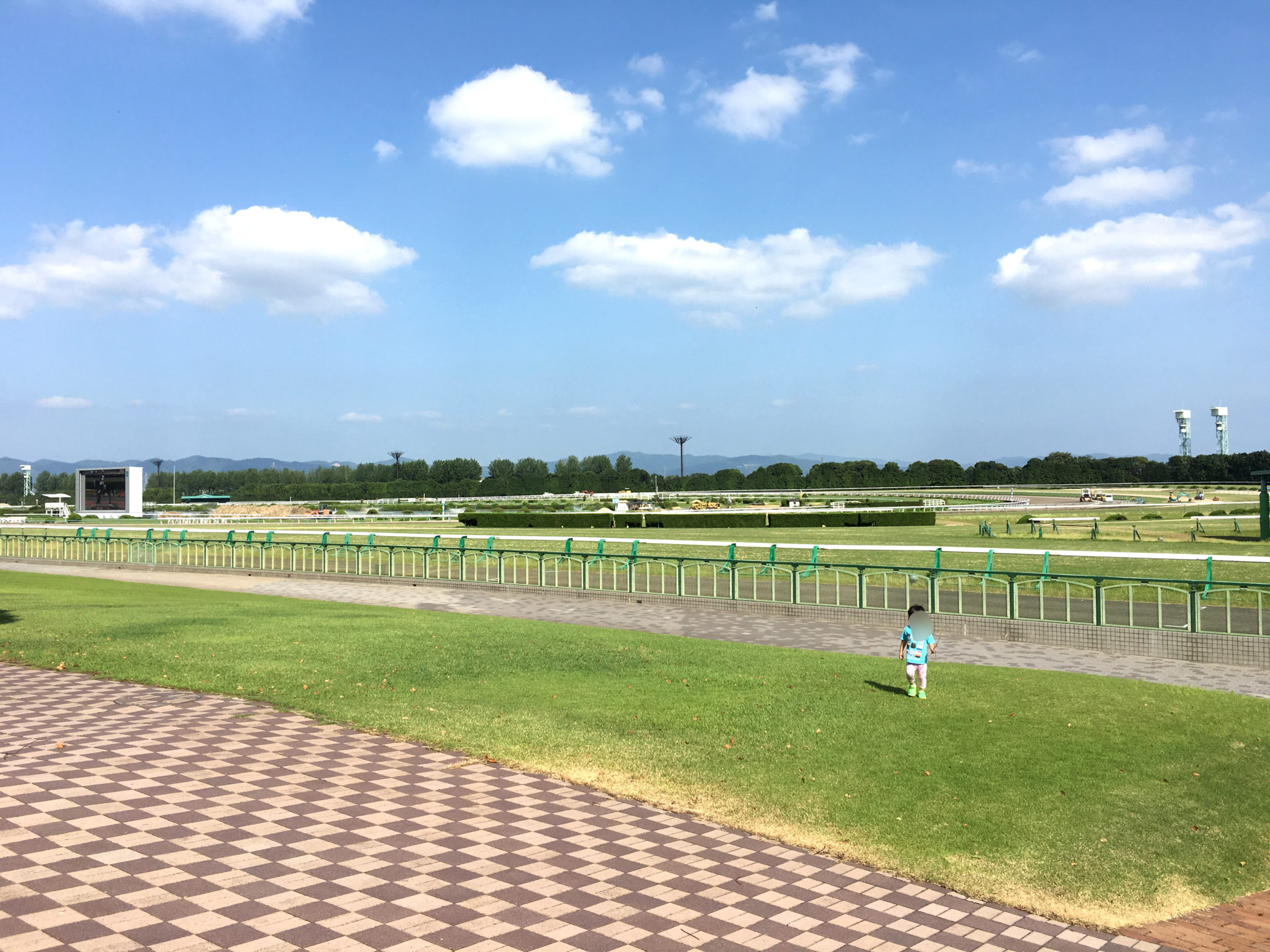 整腸剤を毎日飲み続けるとどうなる？副作用や耐性の真相を徹底解明