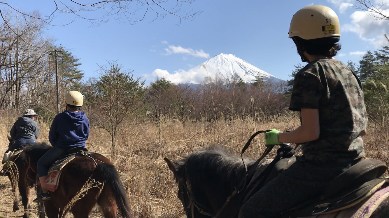 紅葉台木曽馬牧場の真価とは？外乗・流鏑馬の評判と料金を徹底調査