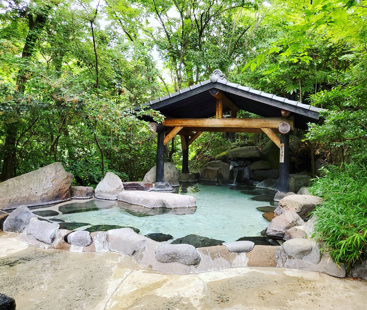 世界のVipを唸らせる下田の極上宿、非公開スイートと名湯の真実
