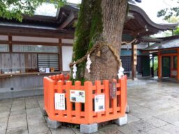 宇佐神宮が怖いと言われる真相とは？歴史の裏側と強烈な霊気の謎
