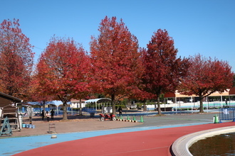 【速報】 加須 は な さき 公園 2026年最新芸能速報 #705