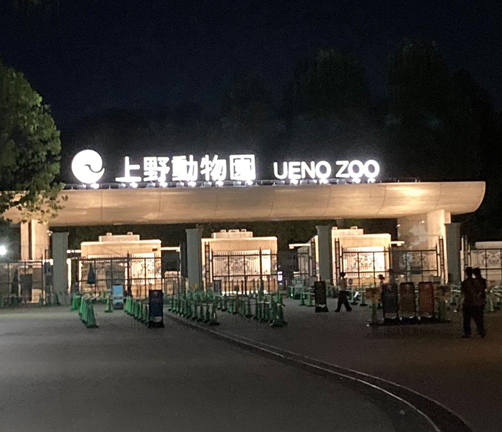 【2026最新】上野の夜の動物園！開催日程・見どころ・混雑攻略