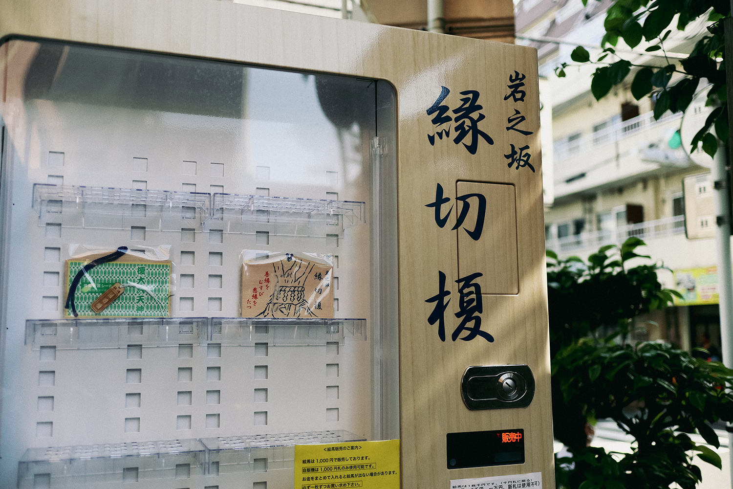 板橋の縁切榎が最強と呼ばれる真相｜効果と絵馬の書き方を徹底検証