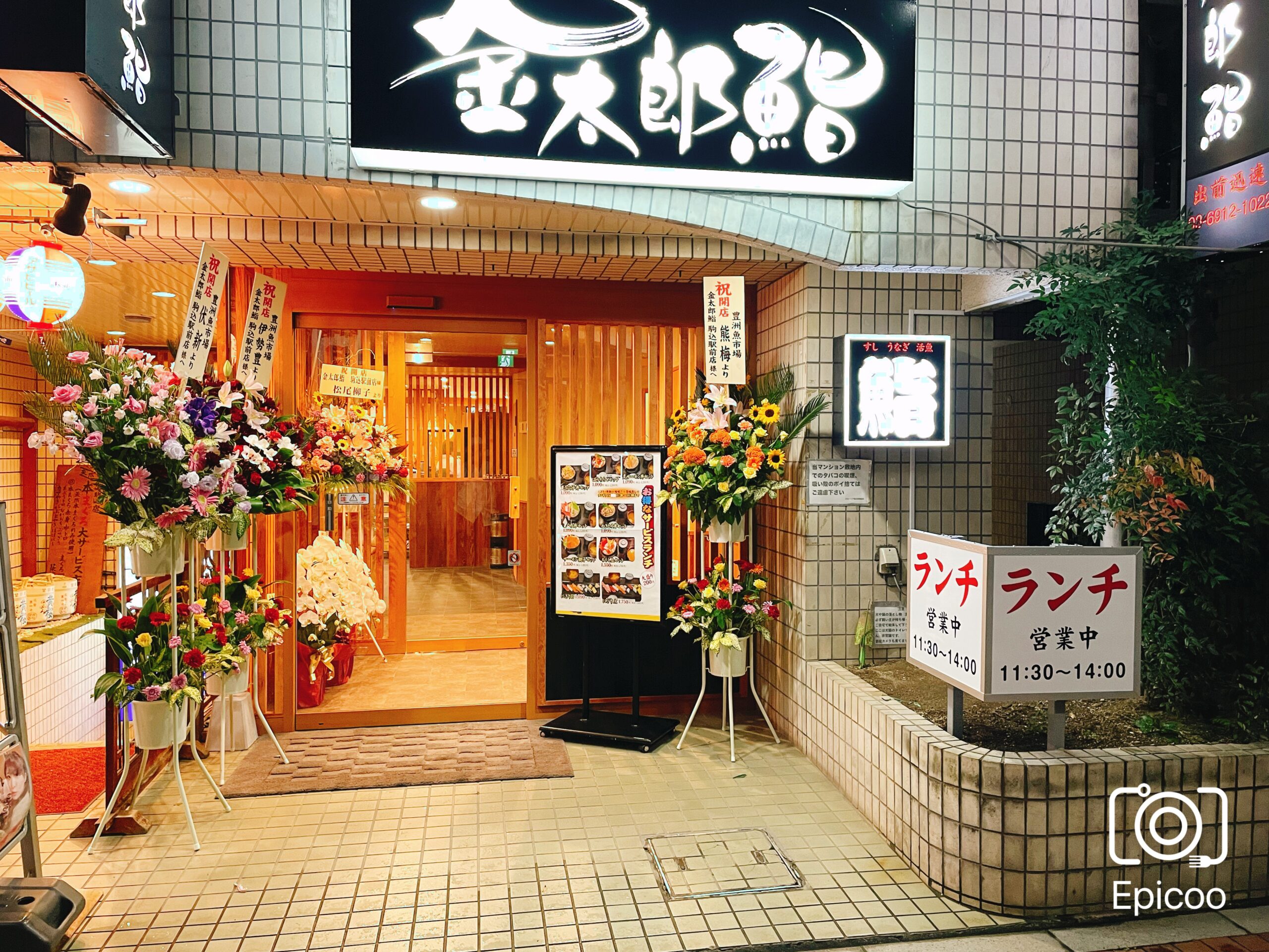 金太郎寿司の真価とは？旬の地魚やランチ・混雑回避術を徹底解剖