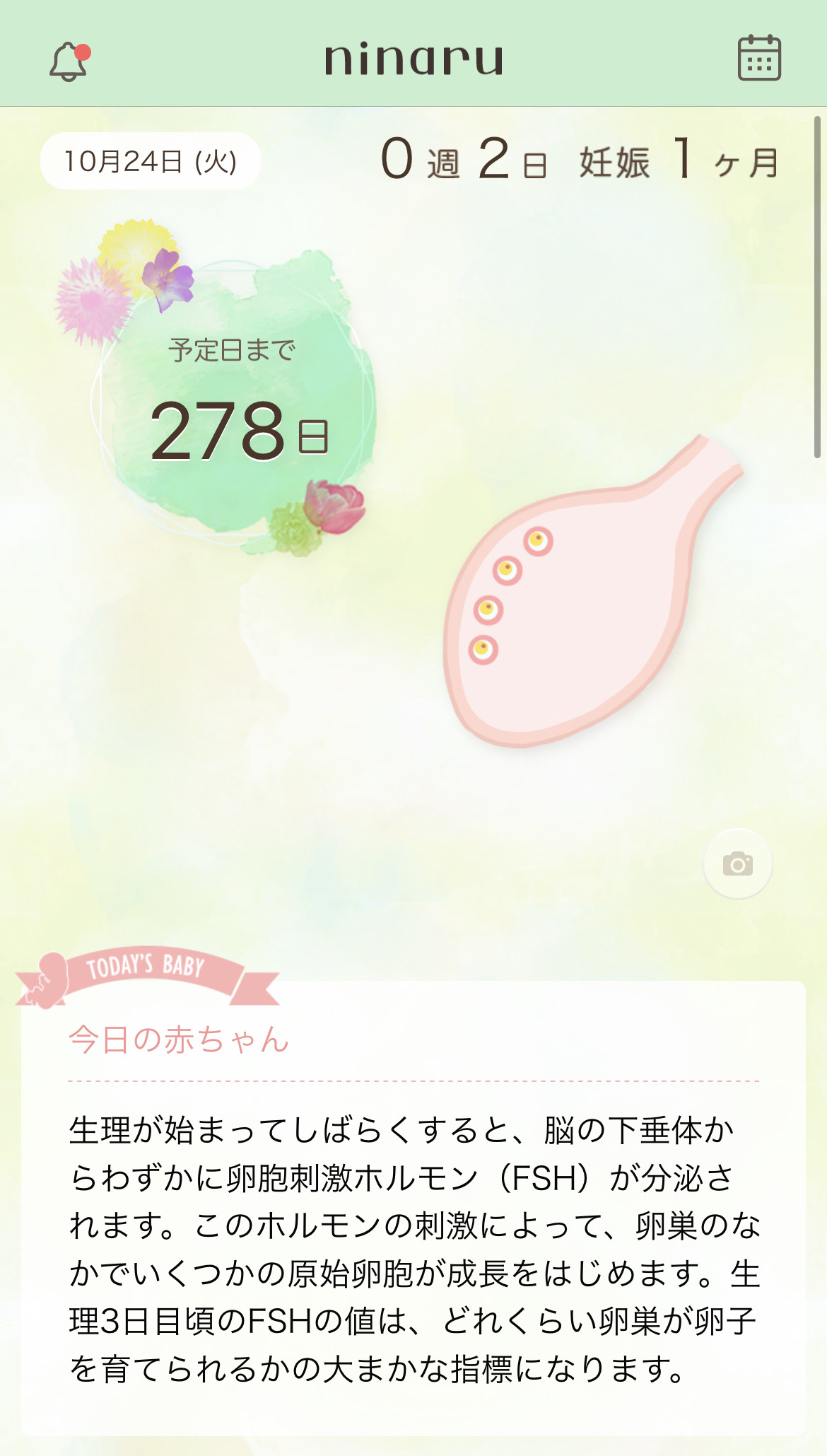生理前に体温が下がる理由とは？妊娠の可能性と基礎体温の変化を徹底解説