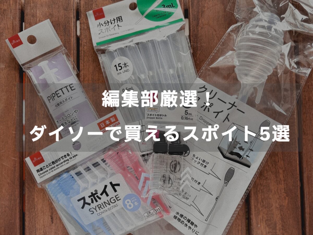 100均スポイト完全比較！売り場と用途別おすすめを徹底調査