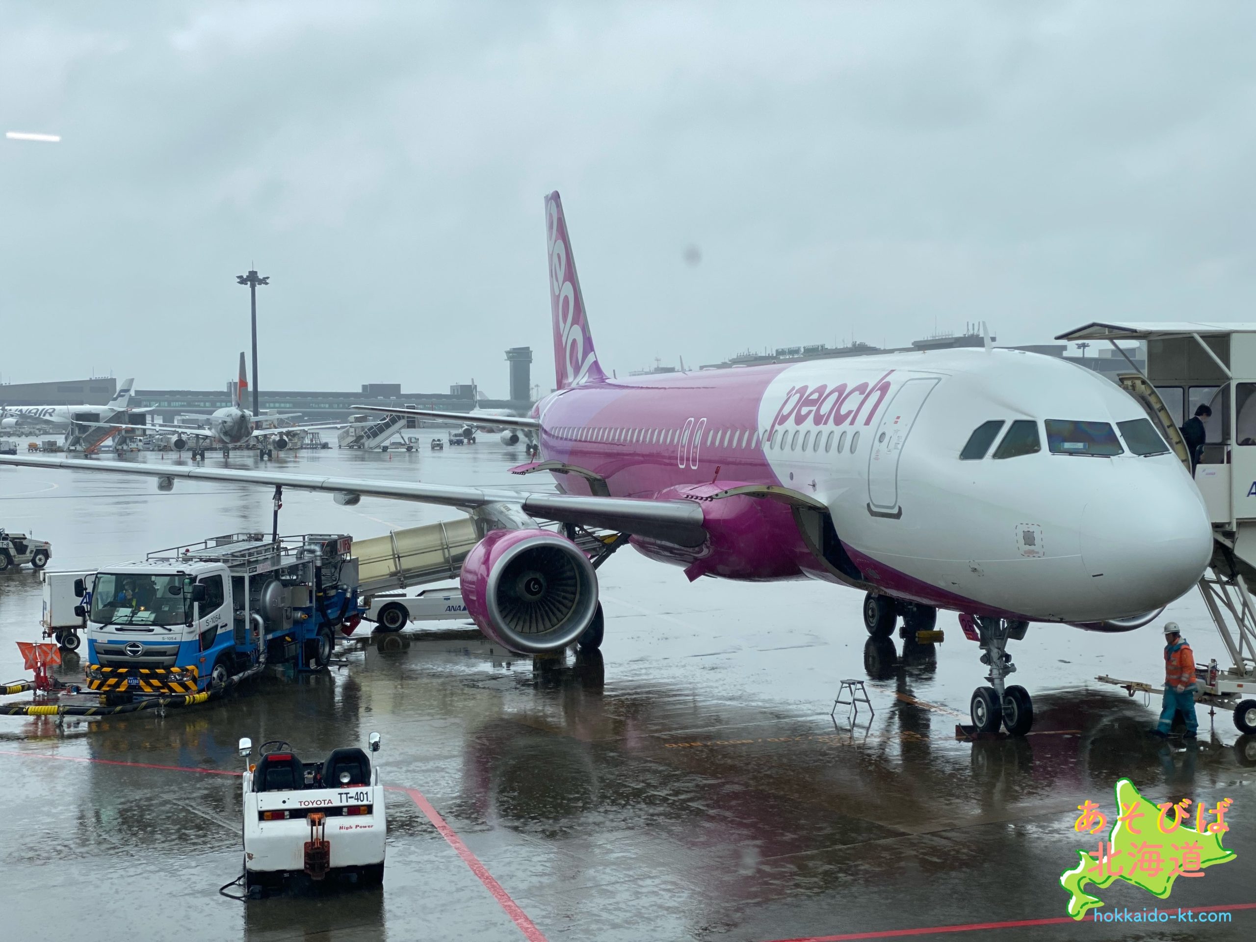 【2026年】福岡から北海道の飛行機最安値！直行便比較と予約術