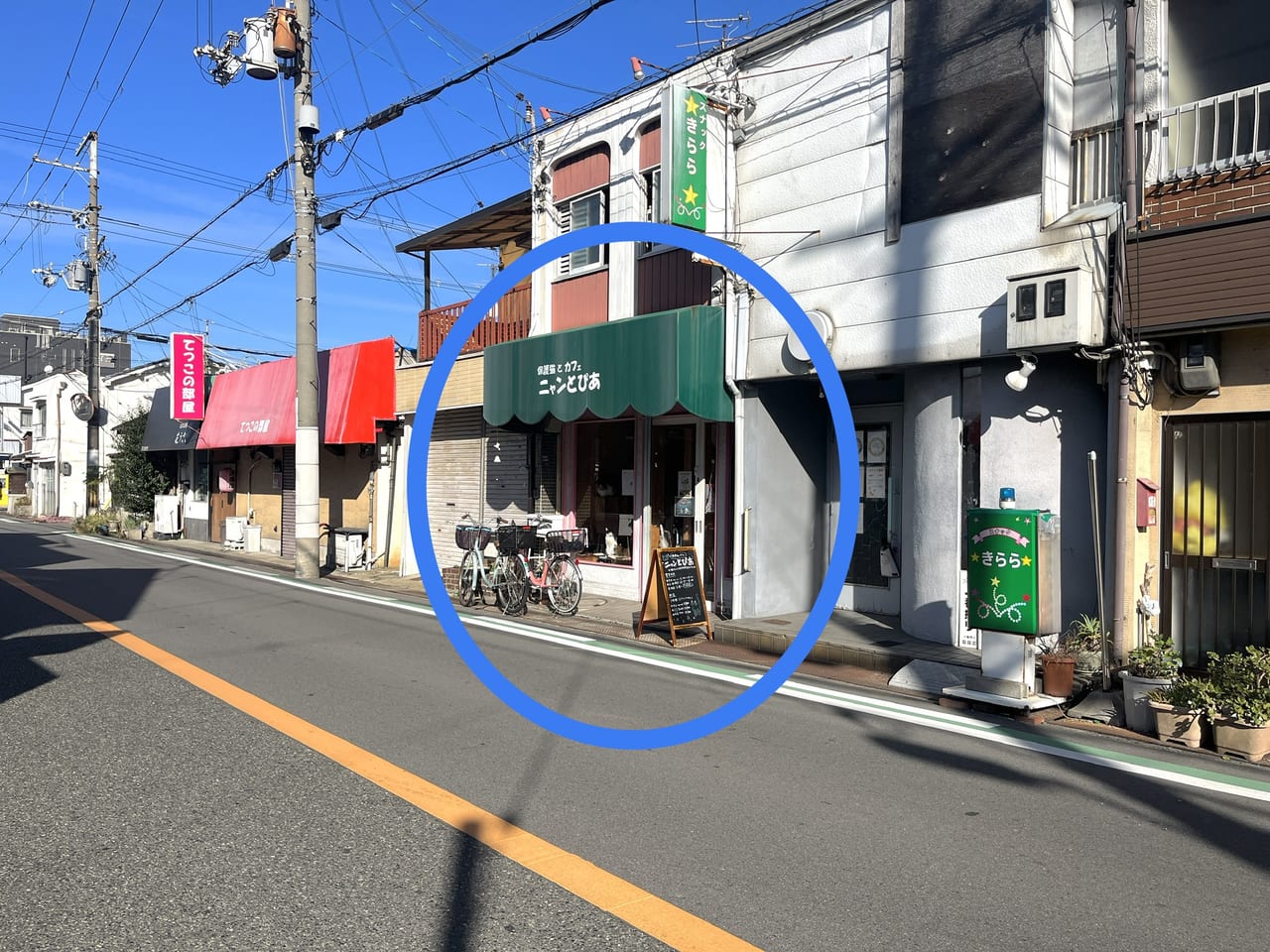 話題の「ニャンとぴあ」とは？2026年最新動向と人気の秘密を追う