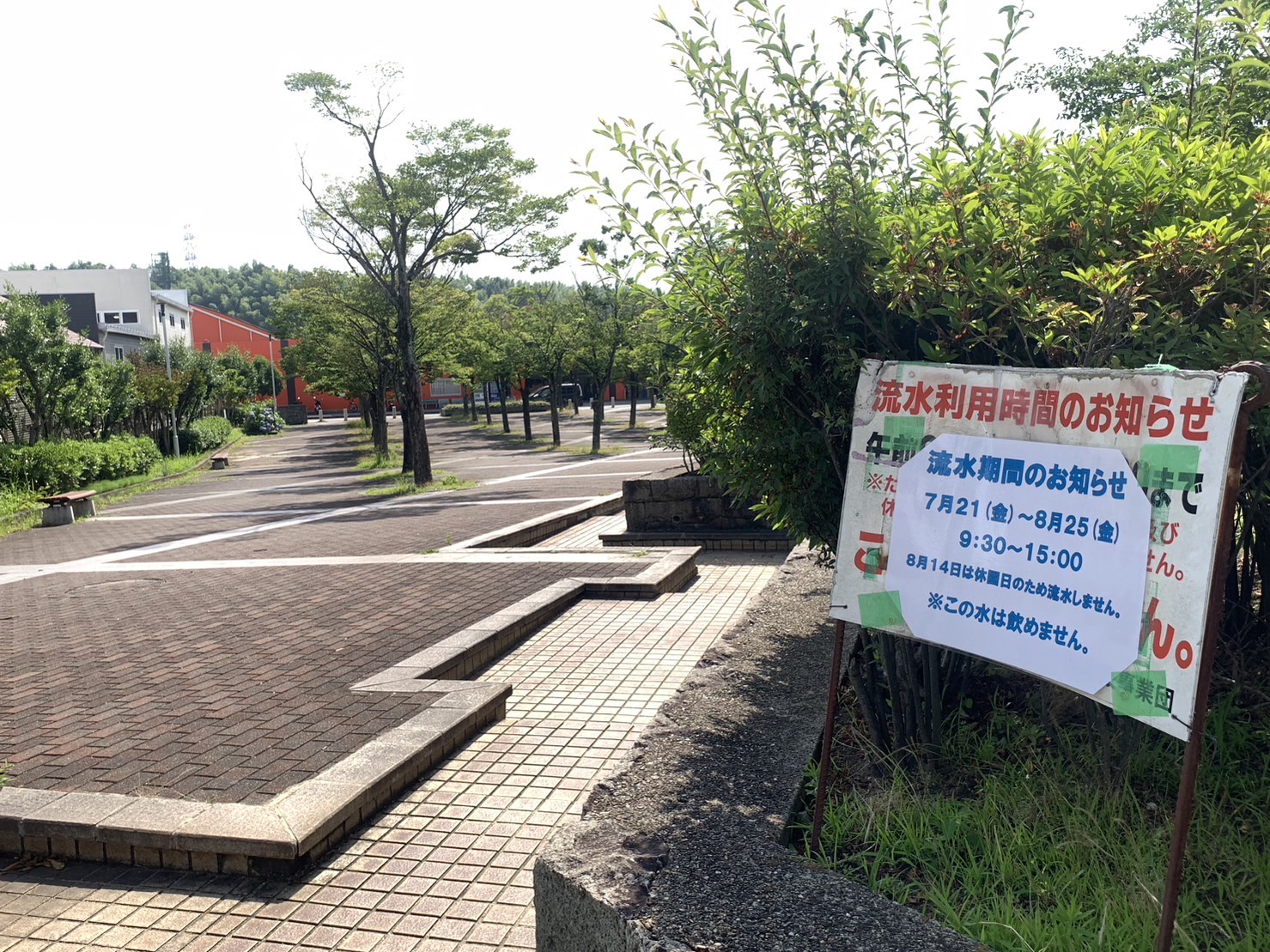 子連れ必見！きんめい公園の遊具・駐車場と混雑攻略ガイド2026