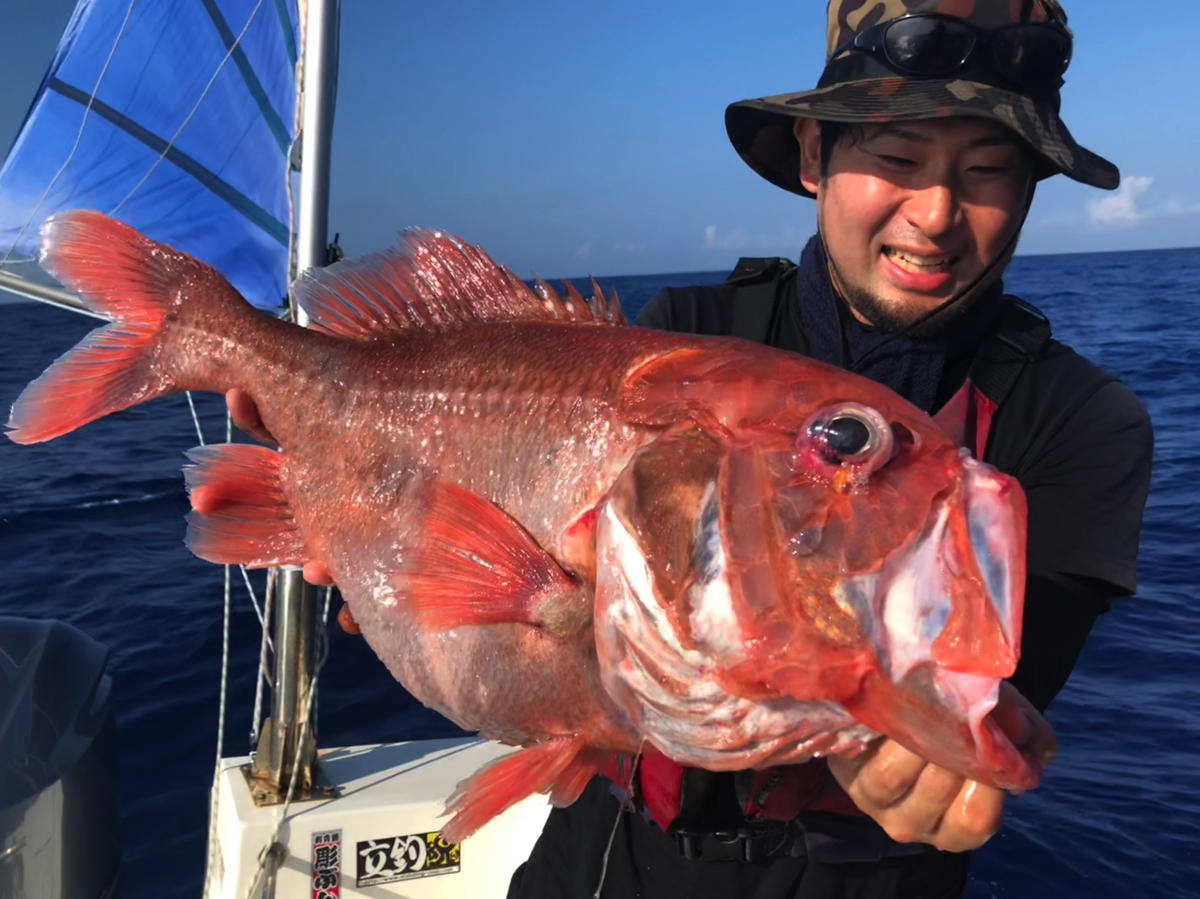 怪魚・外来種を喰らう生物ライターの現在地：平坂寛が切り拓く「異端のフィールドワーク」と食の未来