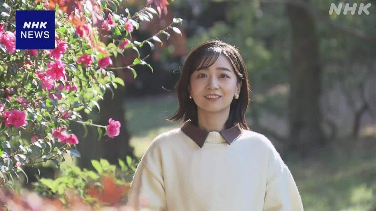 佳子さま31歳、極秘裏に進む「お相手選び」の真実と急浮上する3人の有力候補