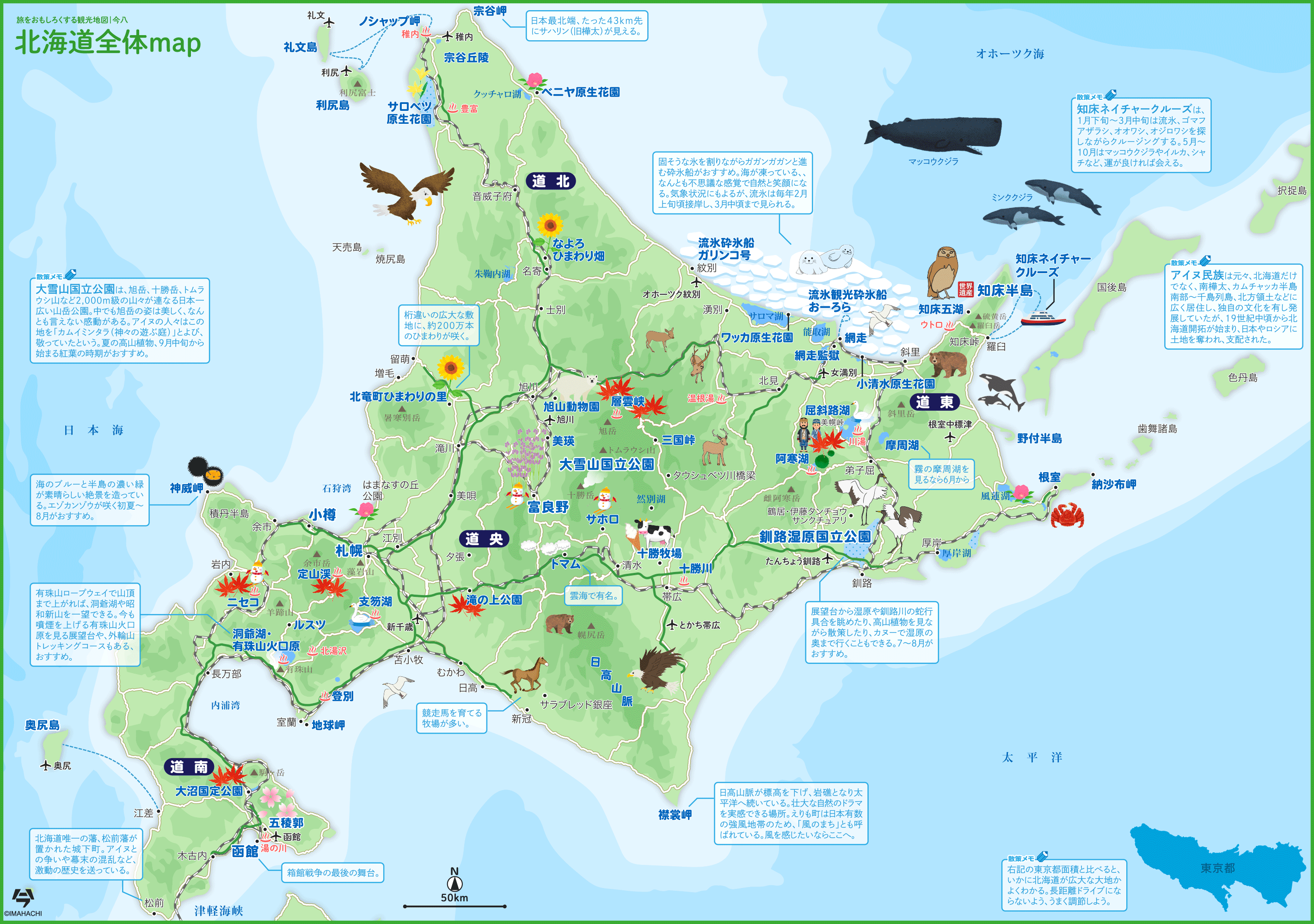 【2026】北海道の有名な食べ物決定版！地元民が唸る極上名店ガイド