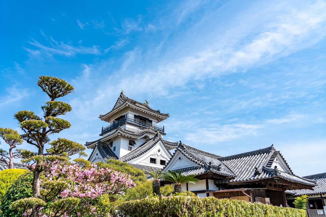 【2026年最新】四国の空を変える！高知龍馬空港の進化と旅を劇的に面白くする現地徹底取材レポート