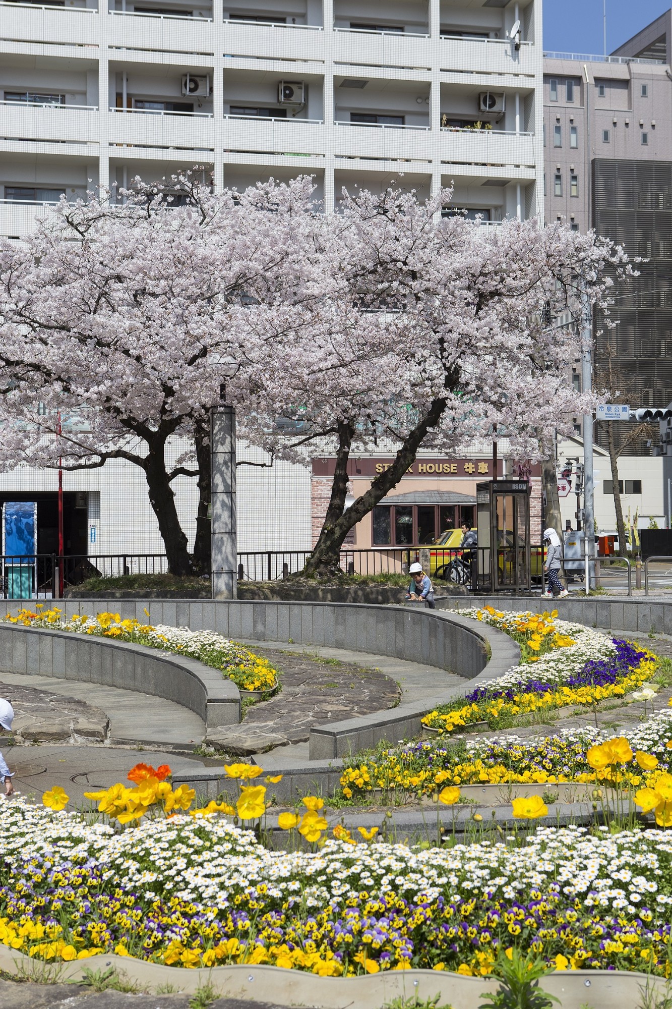 冷泉公園の治安は本当に大丈夫？噂の真相と最新の再整備を徹底解説