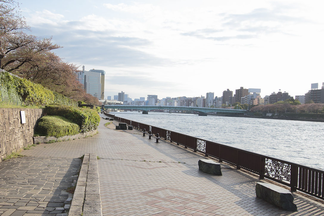 花火ができる場所2026年完全版！禁止条例を避ける穴場スポット徹底解説