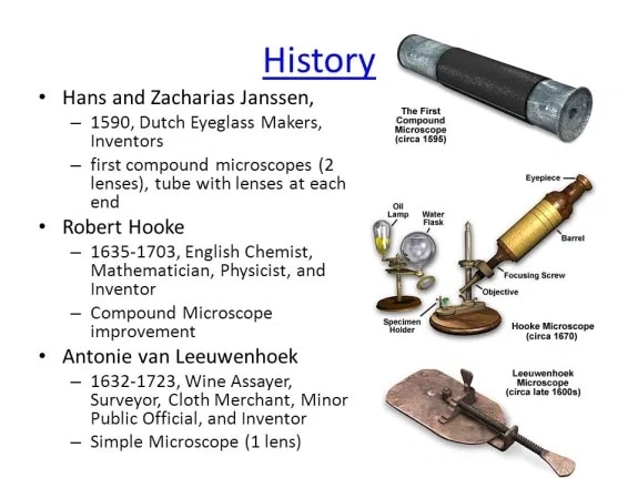 When and Where Was the Microscope Invented