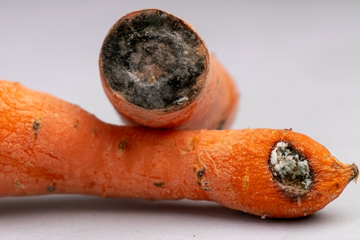 When Is a Carrot Bad