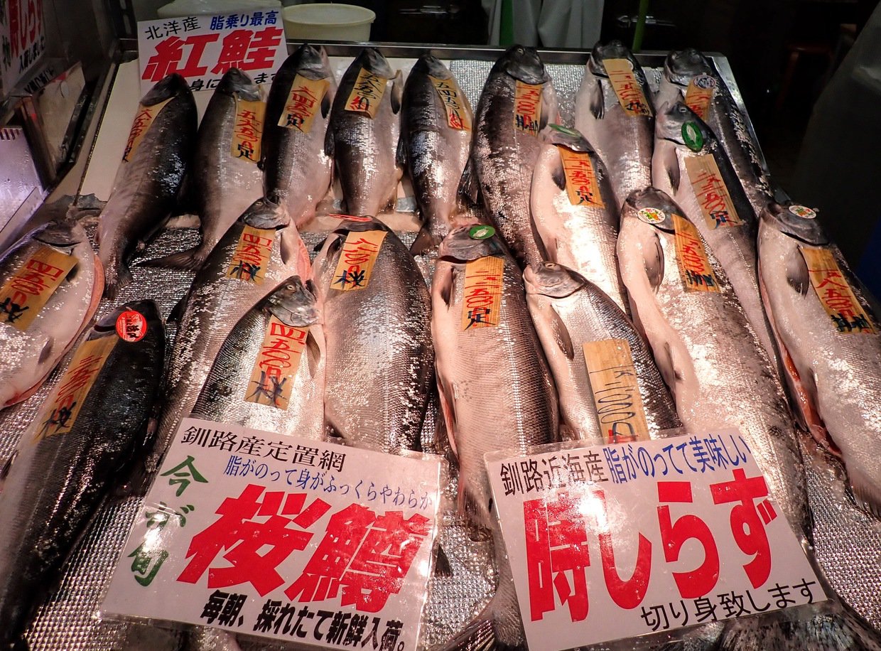 幻の鮭「時知らず」はなぜ高価で美味？秋鮭との違いや旬・絶品レシピを解説