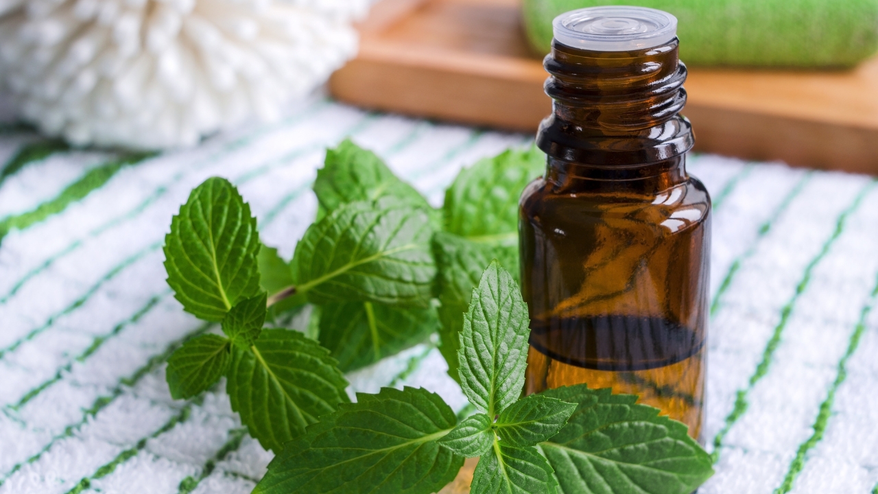 Can You Drink Peppermint Oil
