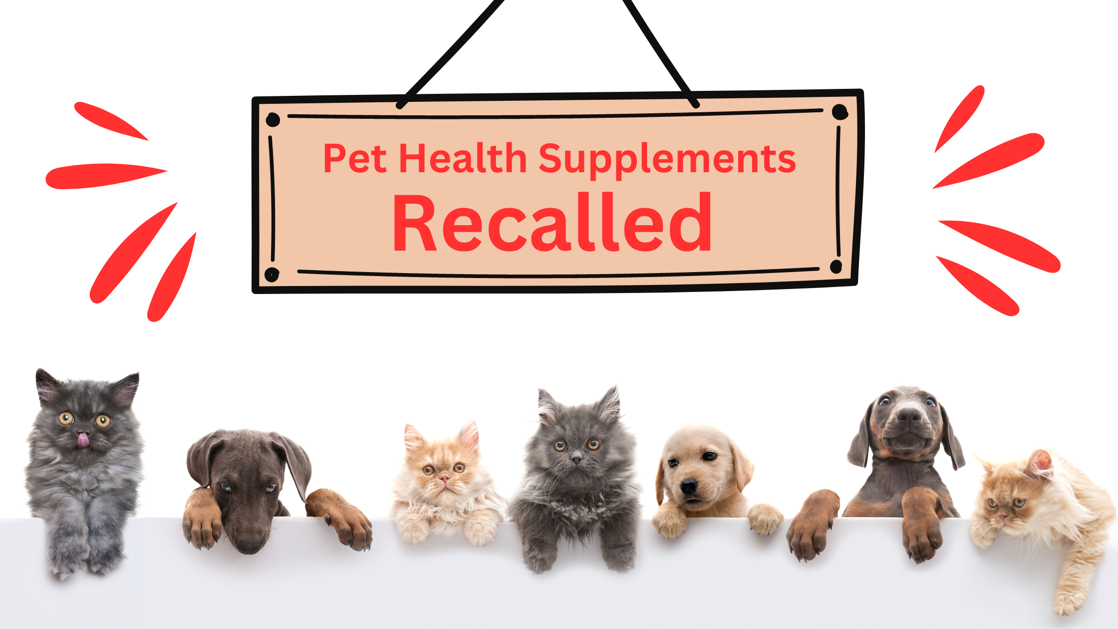 Fi Dog Supplements Recalled: Lot Numbers 26118 and 26159 Affected