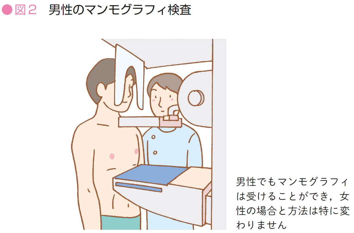 胸のしこり放置は危険？男性乳がん検査の受診目安と費用・流れを徹底解説