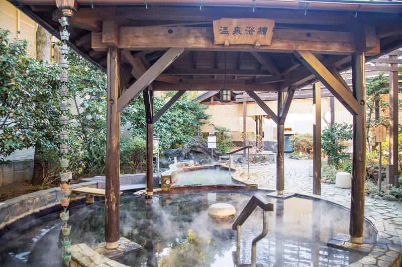 板橋の隠れ名湯さやの湯処！都内屈指の源泉と庭園美を完全解剖