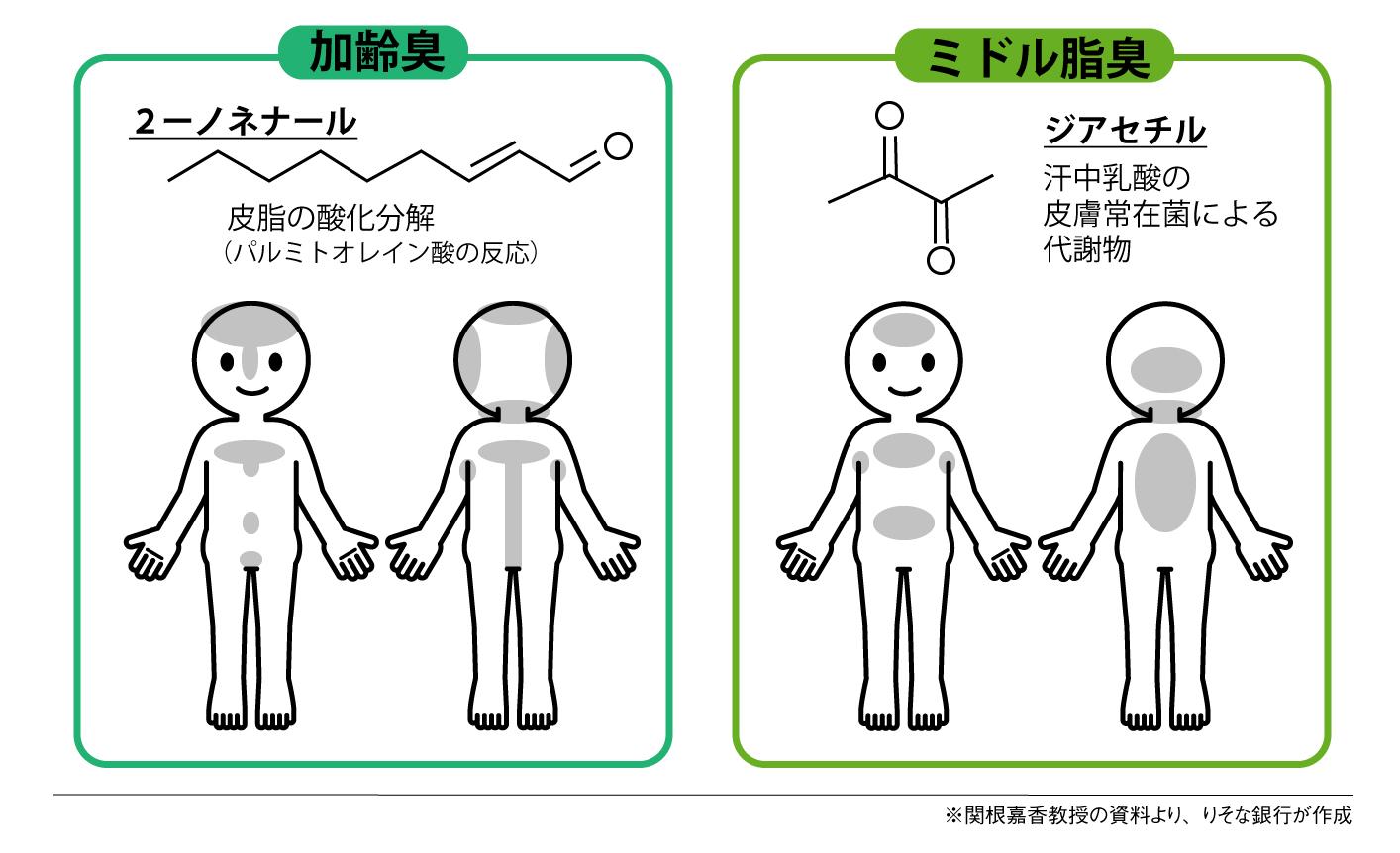 ジアセチルはどんな臭い？加齢臭と違う30代特有の油臭を徹底解剖
