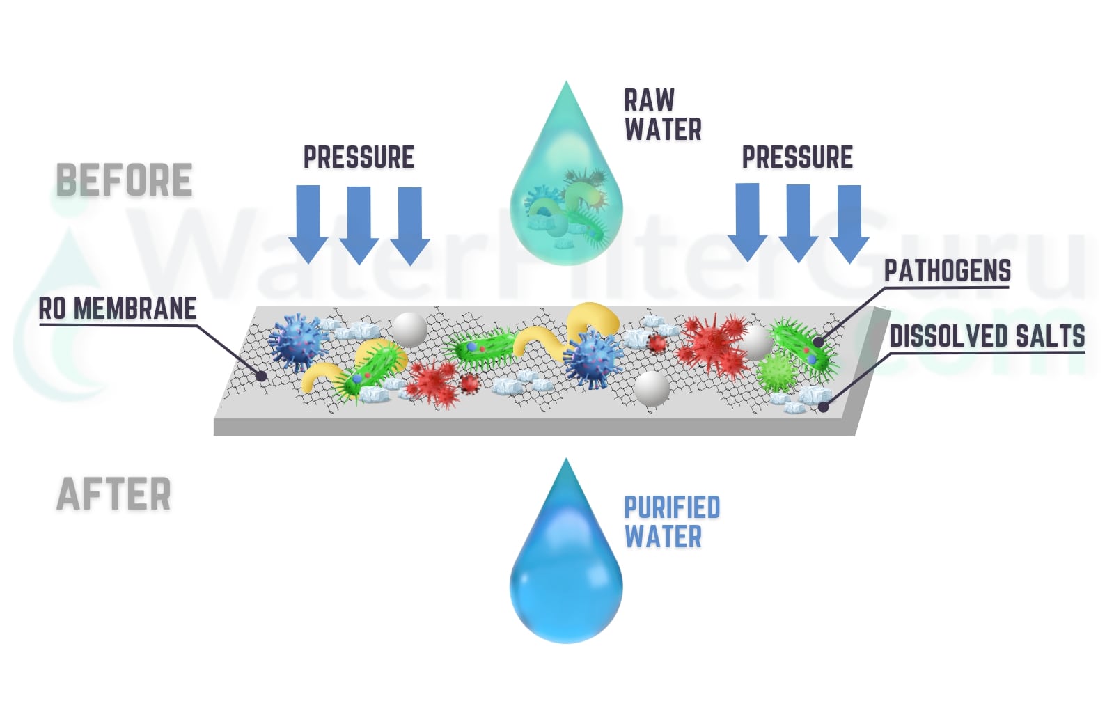 Does Reverse Osmosis Remove Coliform Bacteria
