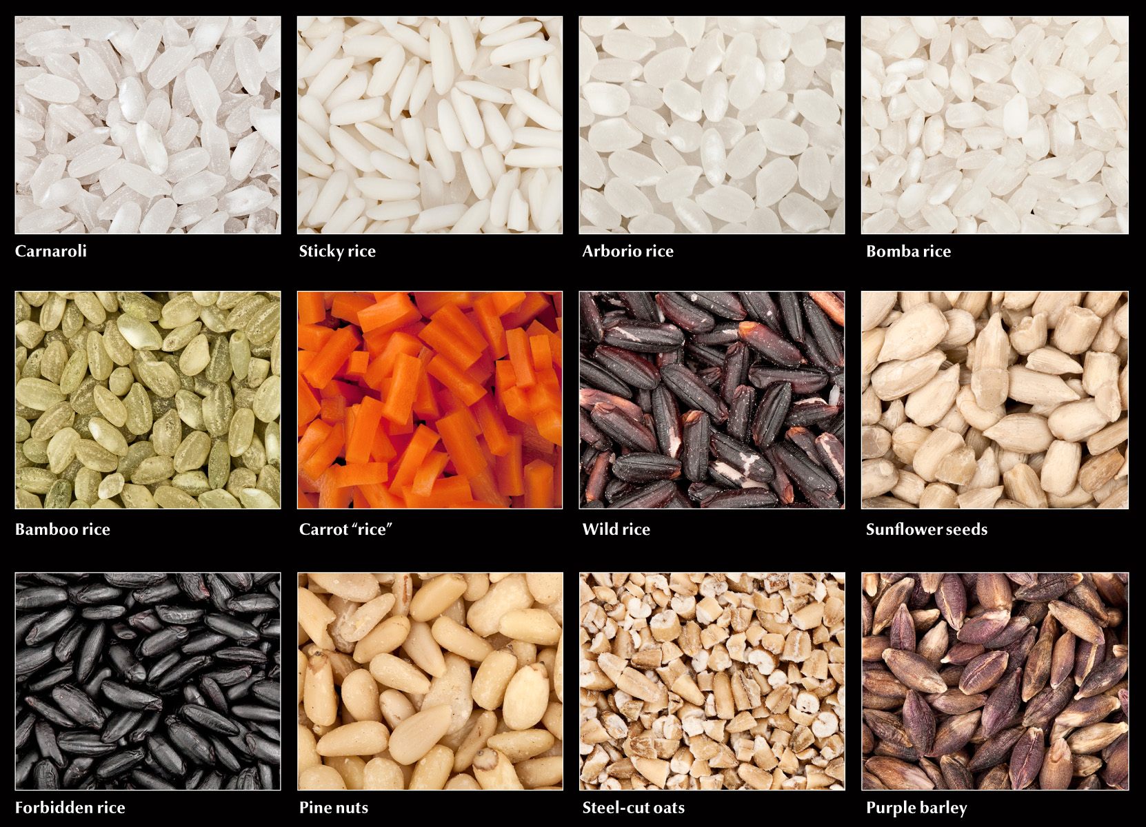Types of Risotto Rice
