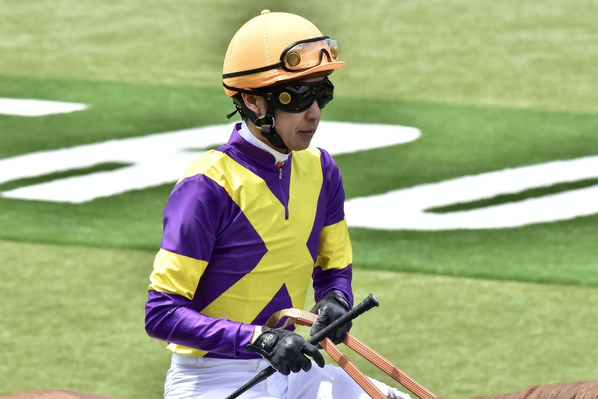 【2026最新】武豊の今週想定と重賞騎乗予定！乗り替わりの真相と勝算