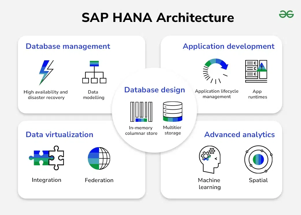【2026最新】Hana ライブで何が起きた？ドームを揺るがした圧巻演出の全貌