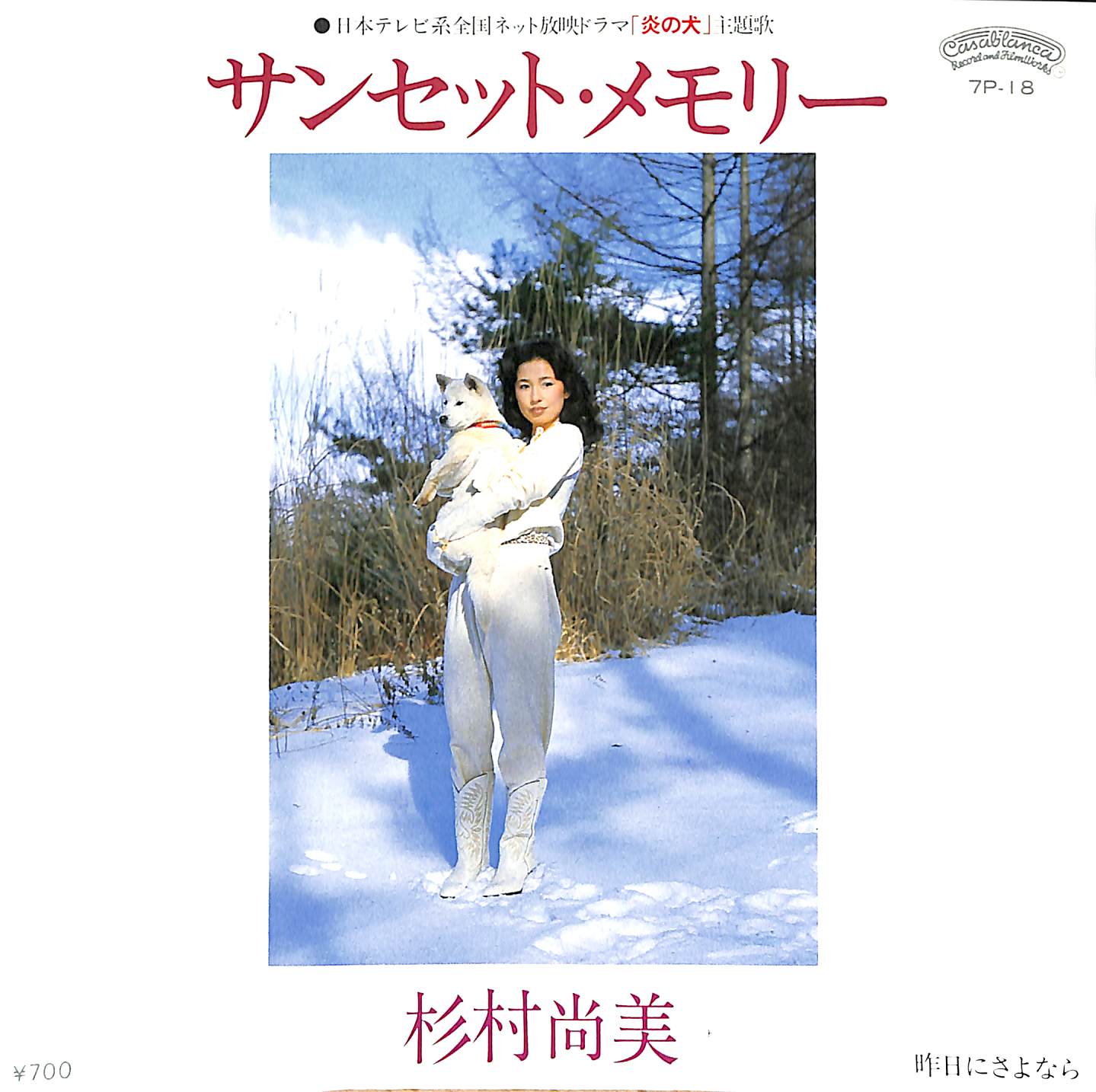 杉村尚美「サンセット・メモリー」誕生秘話と炎の犬の真相【2026年】