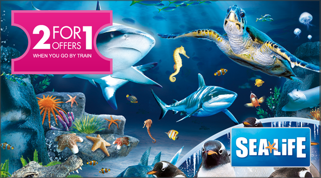 2 for 1 Sea Life Tickets