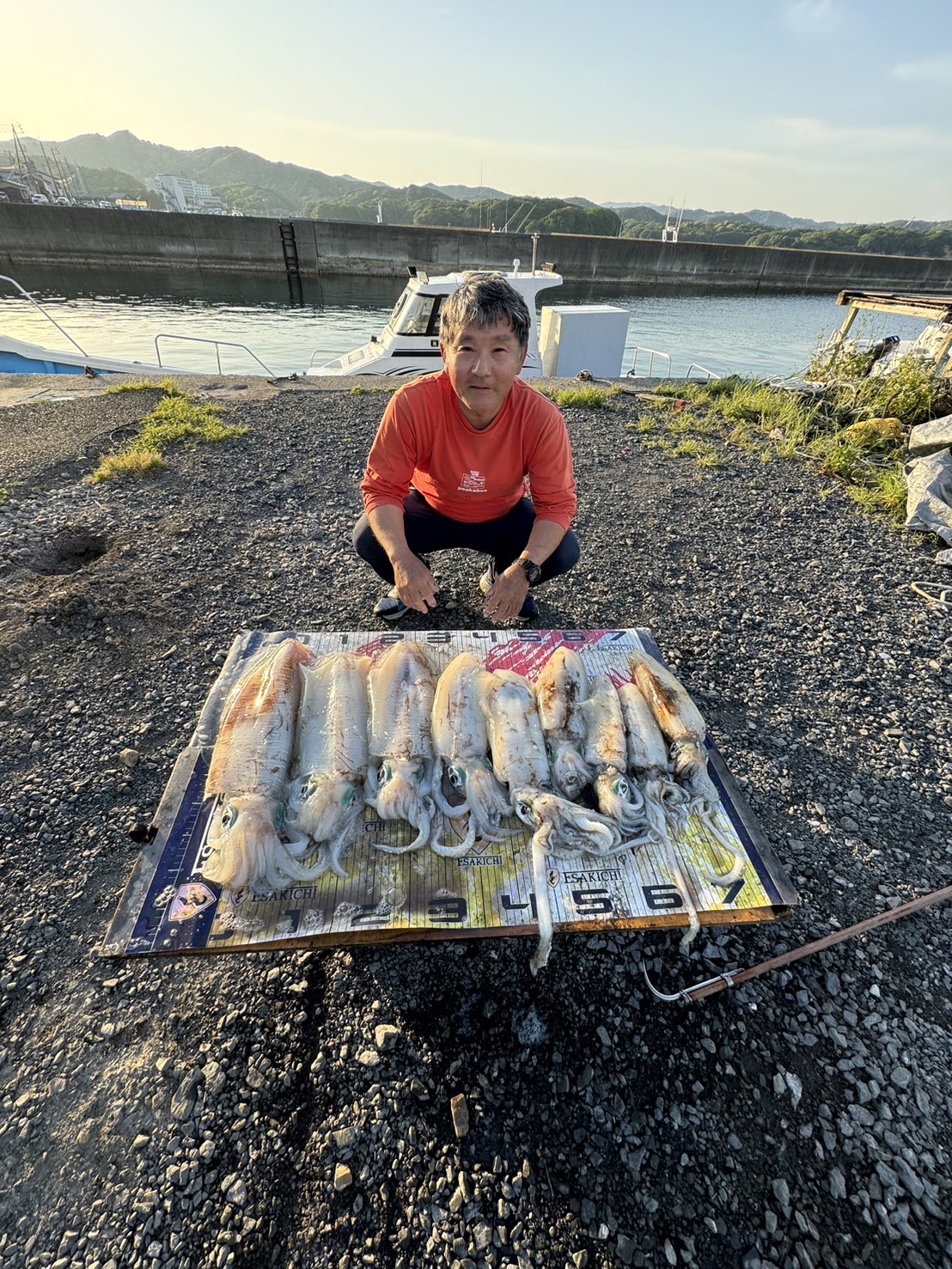 三重の筏釣り2026最新事情！実績渡船とチヌ・アオリイカ攻略の全貌