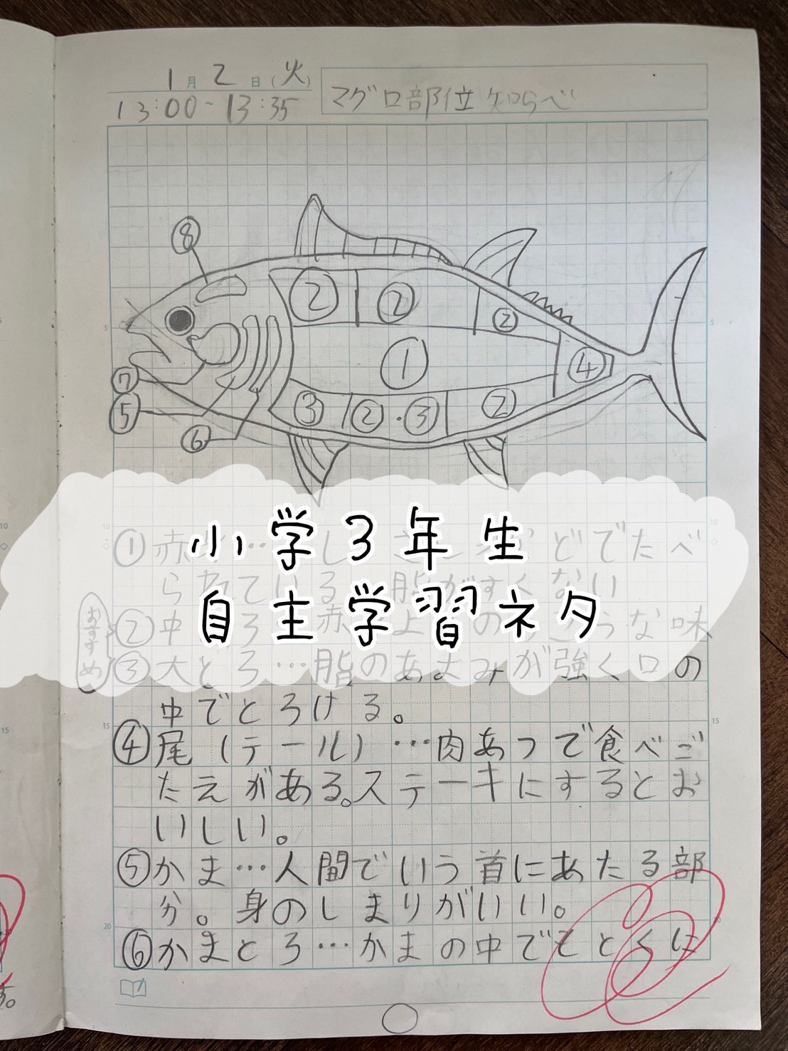 自主学習ネタで面白いテーマ50選！先生も驚く高評価ノート術