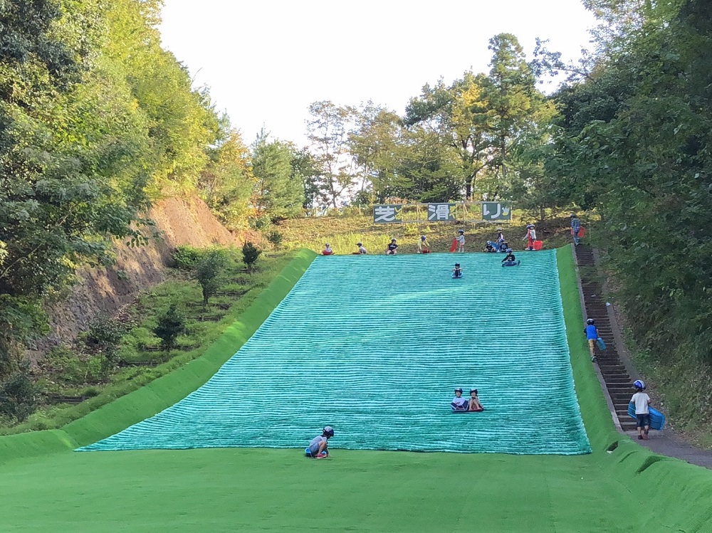 水と森が息づく清流里山公園へ！混雑回避の穴場と限定体験を追う