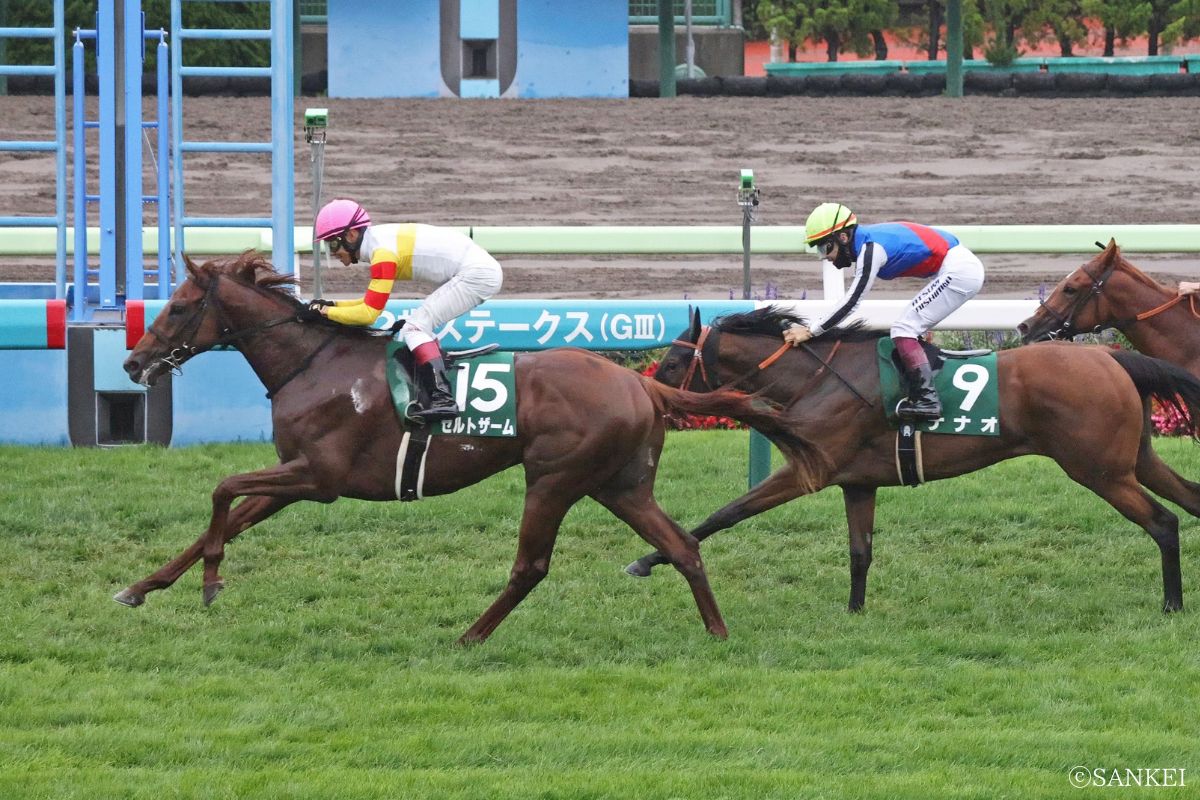 函館2歳Sの過去データ徹底分析！穴馬激走の理由と血統・ローテ攻略法