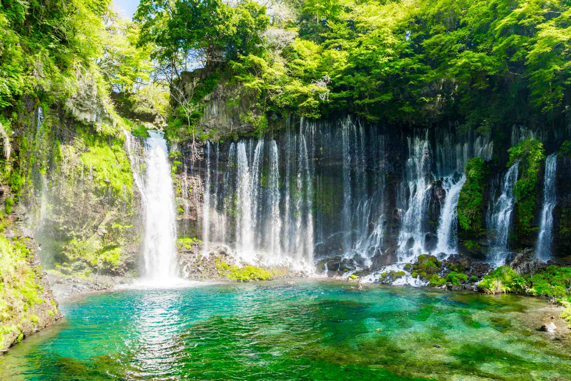 富士宮市上井出・白糸の滝に人々が惹かれる理由！世界遺産の真実