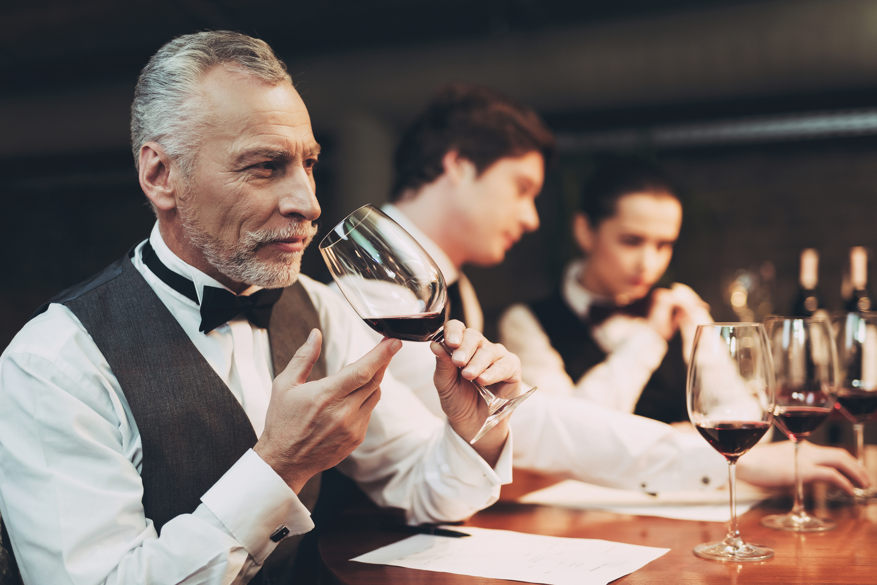 What Is a Connoisseur of Wines Called