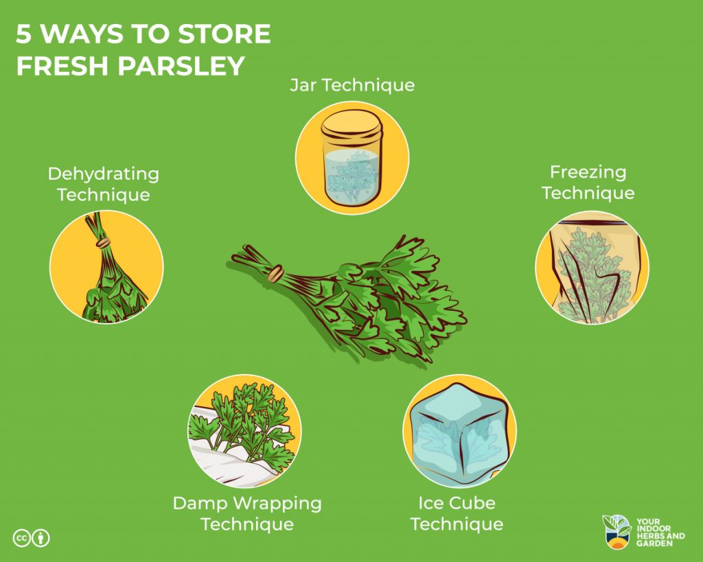 Best Way to Store Parsley